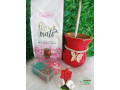 kit-cuia-small-0