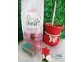 kit-cuia-vermelha-completo-e-especial-small-0