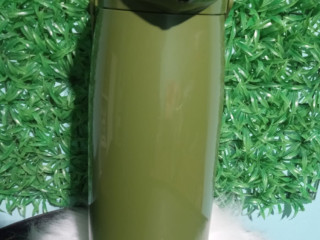 garrafa-termica-verde