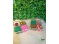 kit-tubete-enfeites-para-cuia-small-0