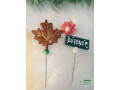 novidade-de-inverno-small-0