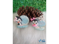 enfeites-de-cuia-small-3