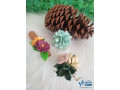 enfeites-de-cuia-small-4
