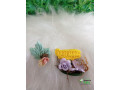 kit-prospere-sempre-small-0