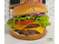 hamburguer-tradicional-duplo-small-0