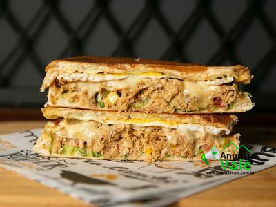 xis-strogonoff-de-frango-big-1