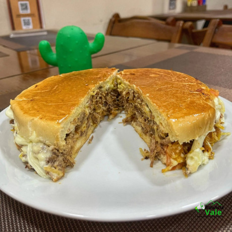 xis-strogonoff-de-frango-big-0