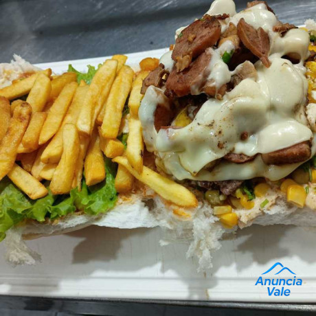 xis-tudo-com-fritas-big-0